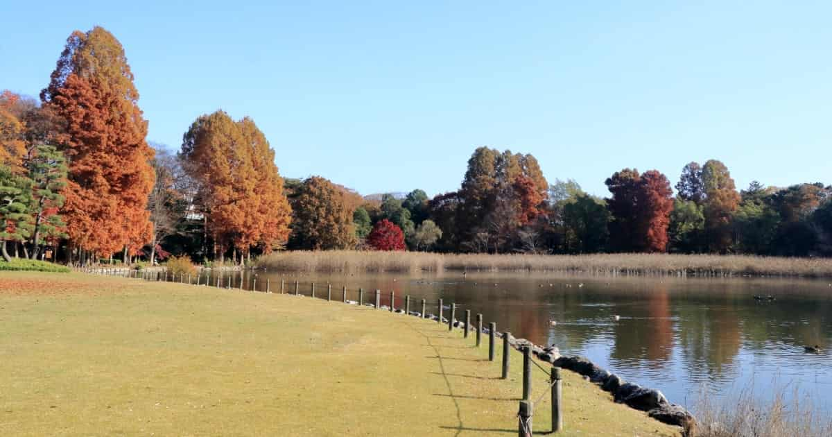 茨城県つくば市