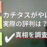 カチタスがやばいって本当？噂の真相を徹底調査！実際の評判は？