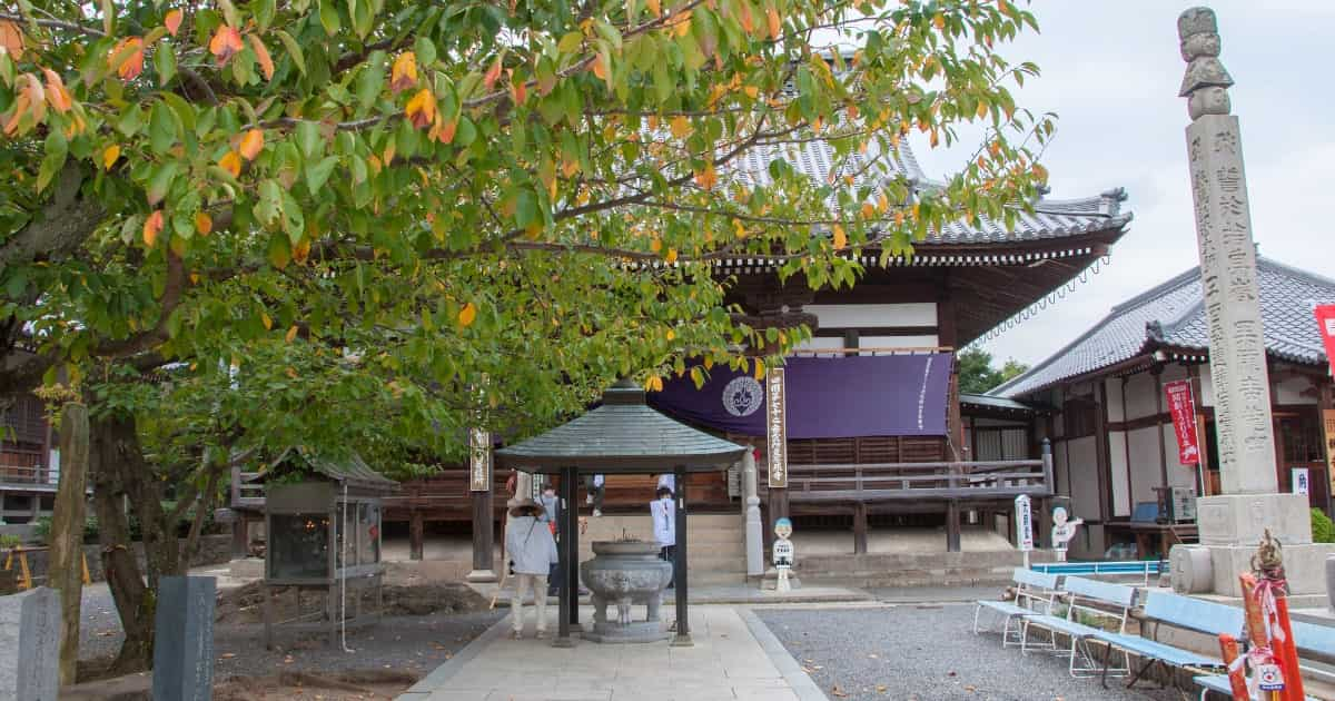 香川県善通寺市