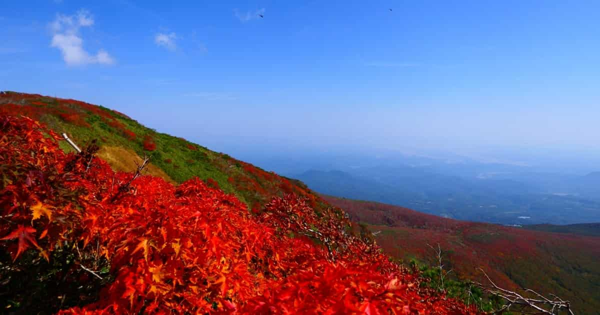 移住先で人気急上昇中の宮城県栗原市とは？魅力と支援制度をご紹介