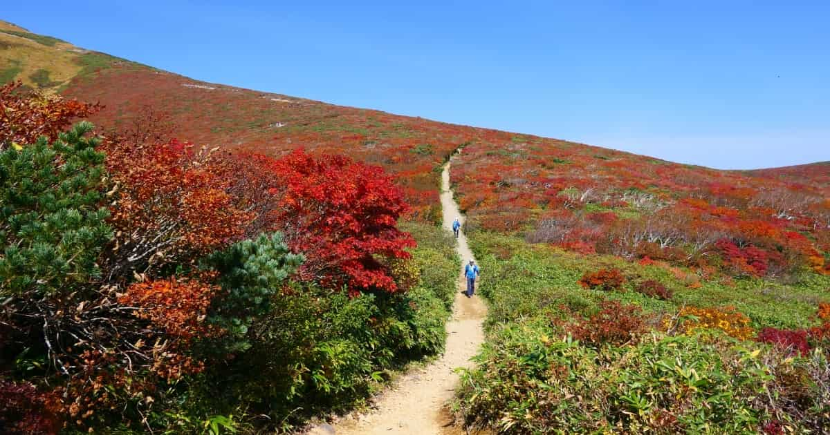 宮城県栗原市