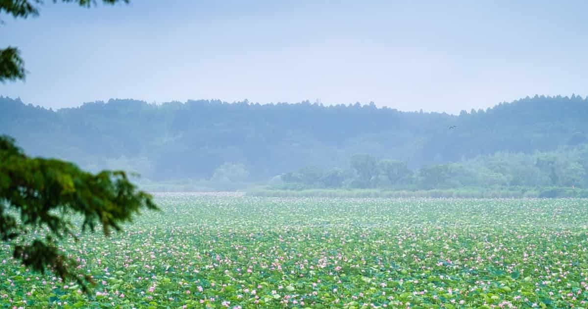 宮城県栗原市