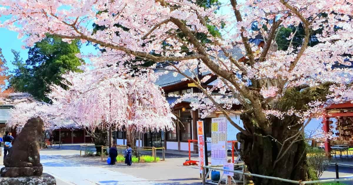 宮城県塩竈市