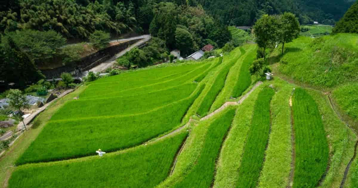 奈良県明日香村