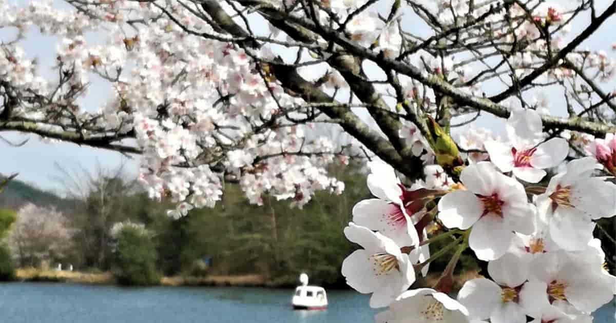 奈良県生駒市