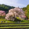 奈良県宇陀市へ移住しよう！宇陀暮らしの魅力と移住に役立つ支援制度を解説