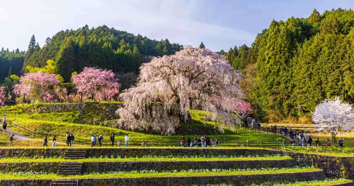 奈良県宇陀市へ移住しよう！宇陀暮らしの魅力と移住に役立つ支援制度を解説