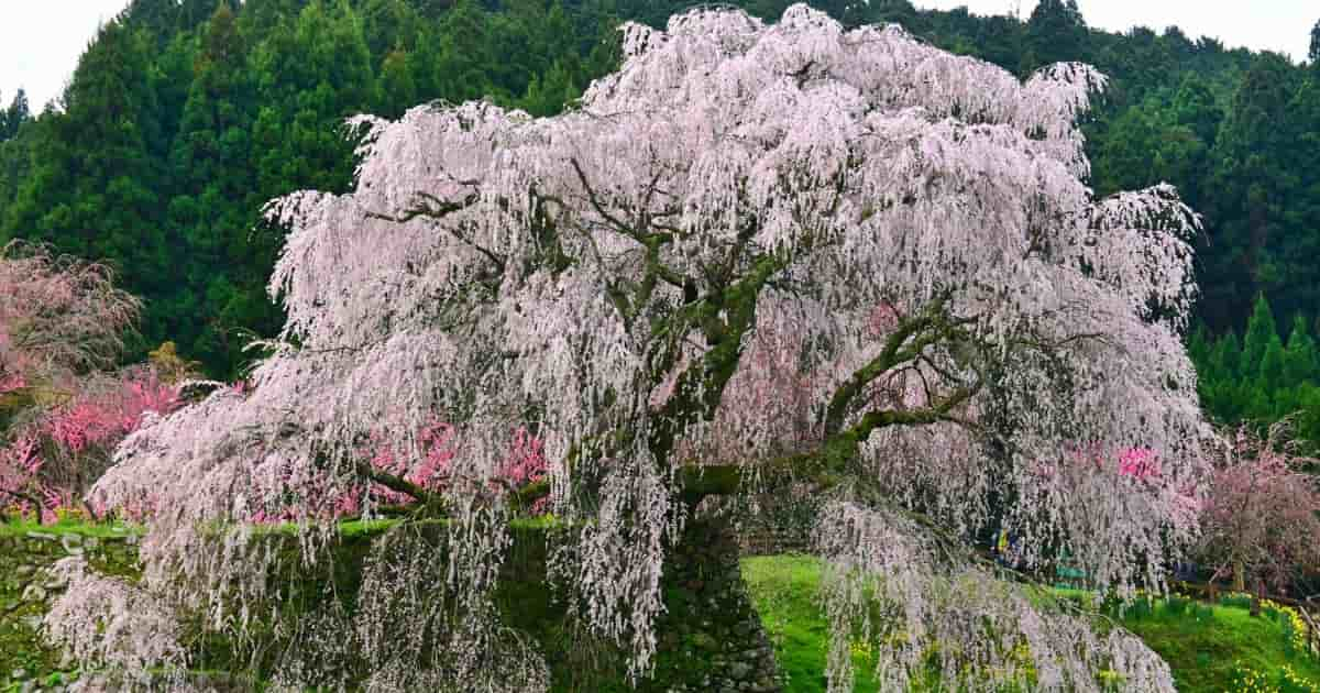 奈良県宇陀市