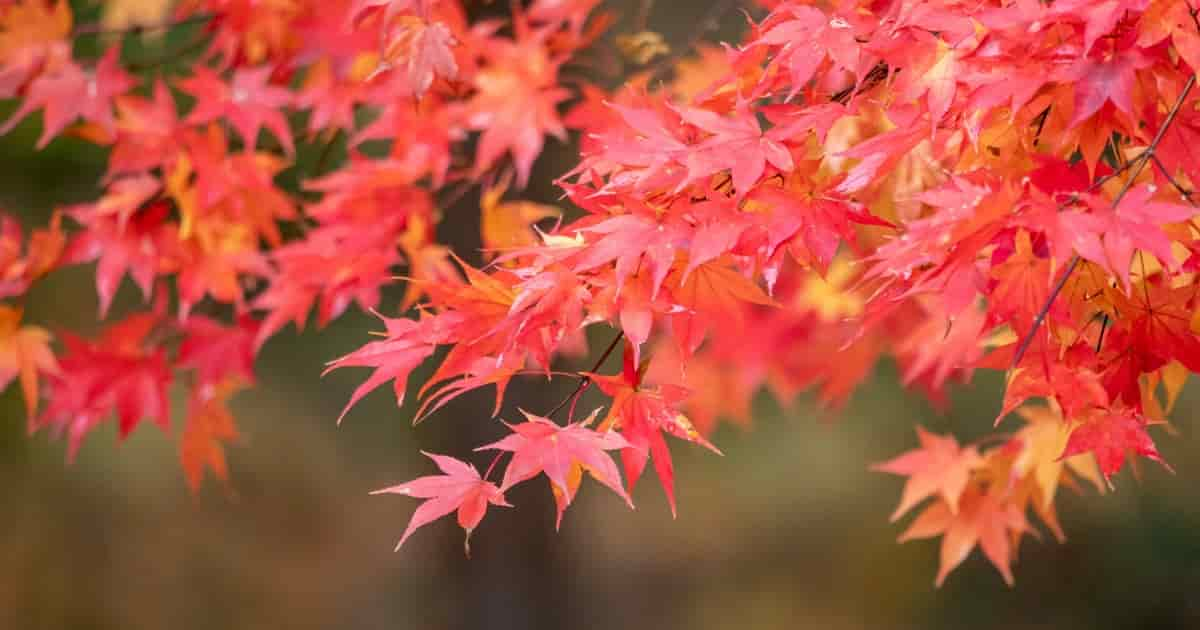 奈良県宇陀市