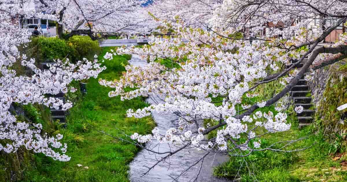 山口県山口市