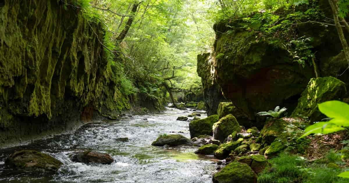 北海道苫小牧市