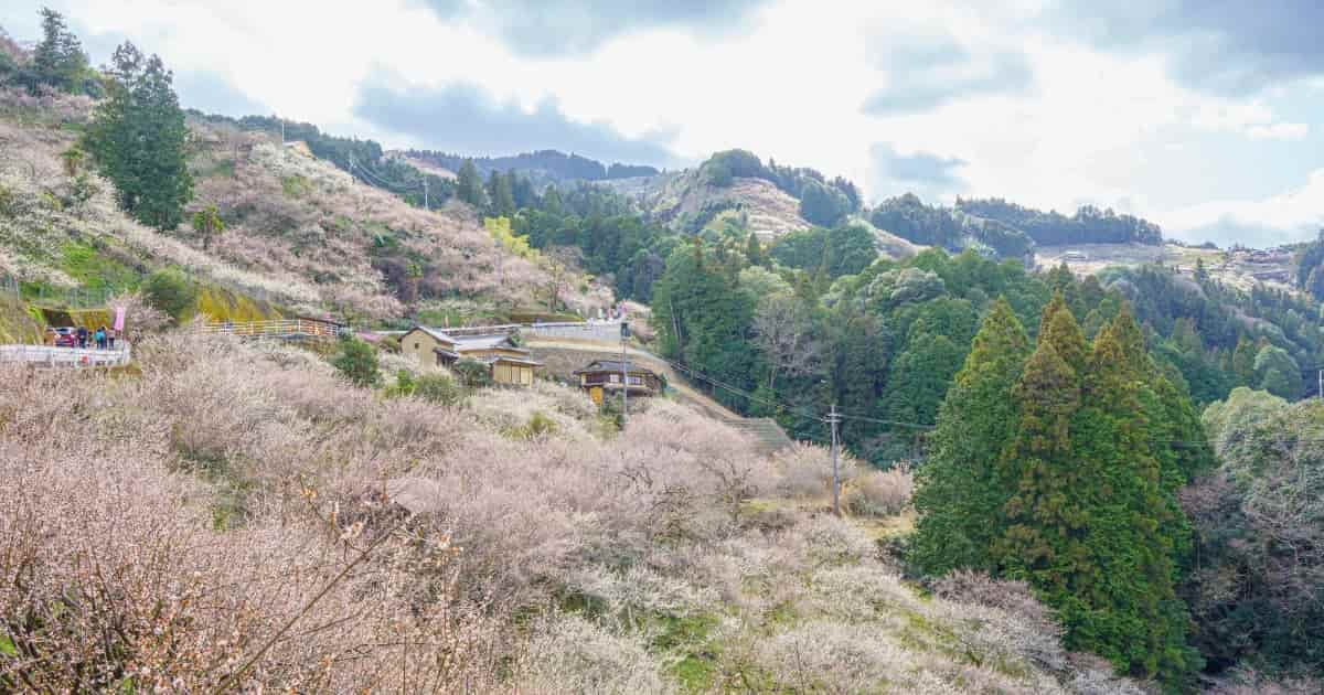 奈良県五條市