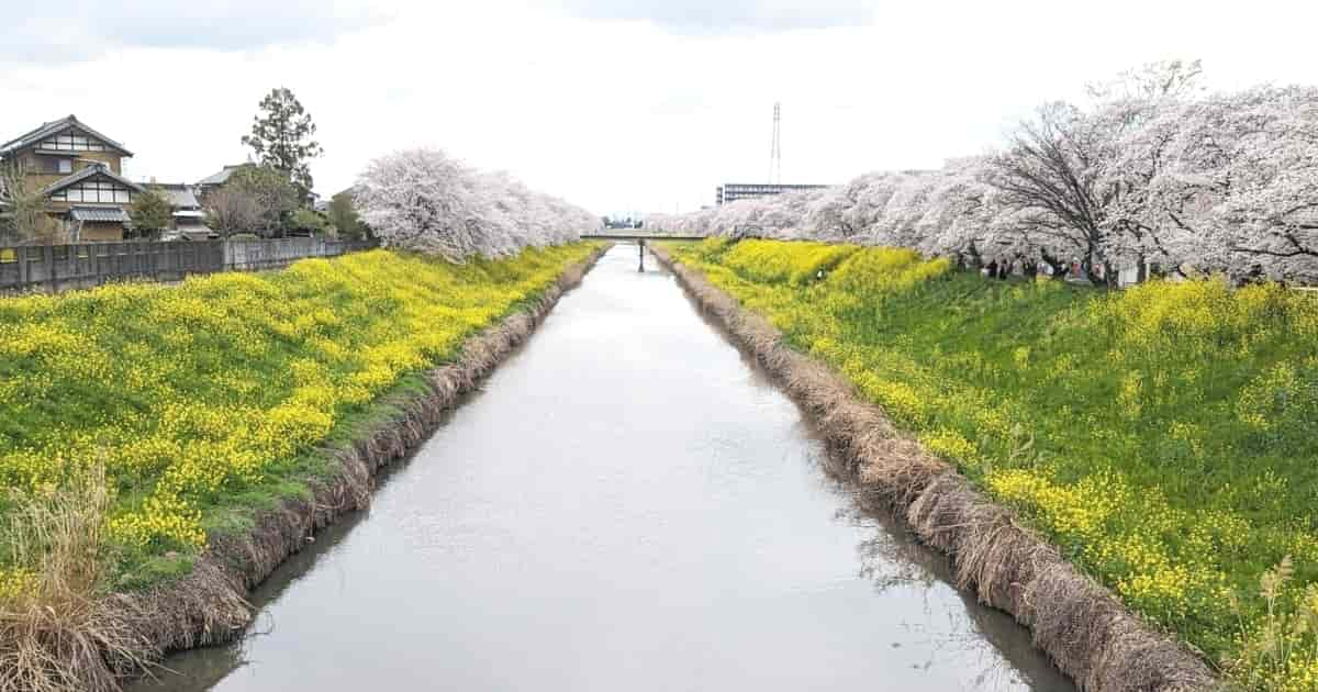 埼玉県久喜市