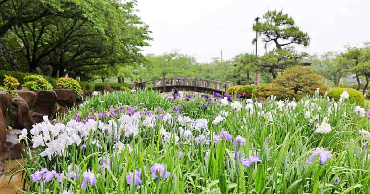 埼玉県久喜市